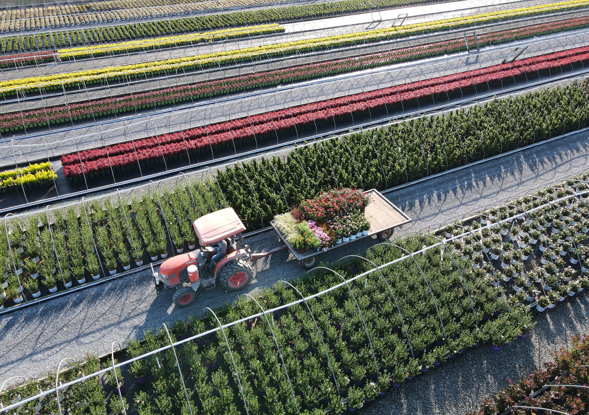 Leading nursery growers launch exclusive, solution-based plant portfolio for IGC's